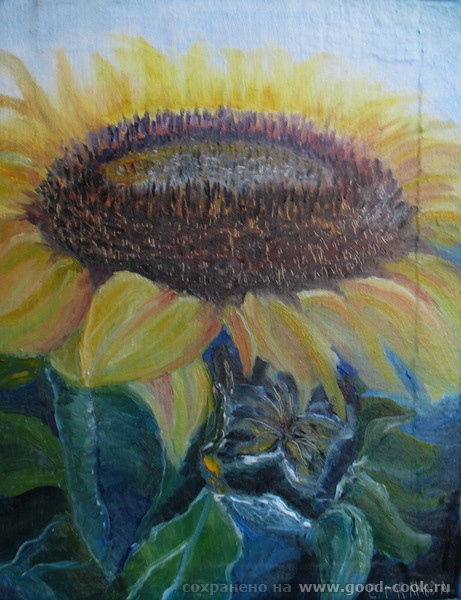 подсолнухи