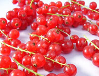 Пошла я почитать про смородину и вот что обнаружила,оказывается currants называют и мелкий сушоный...