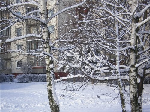 Подняла темку
