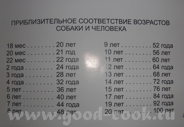 Хорошие фотографии