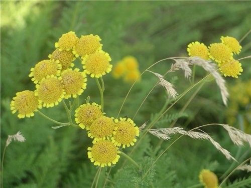 ,     ,          - 3