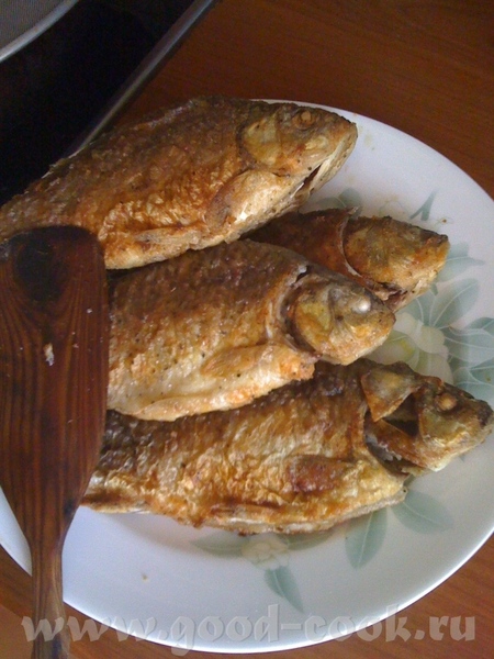 Лен, рыпки