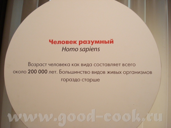 Нас было много