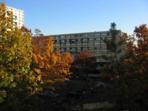 Вот вид из нашей спальни