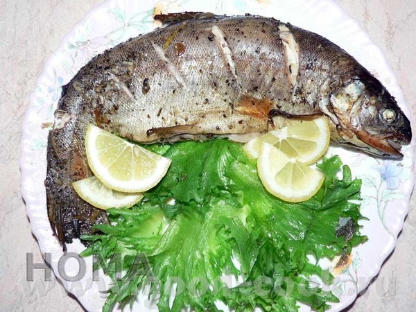 А кому рыПку на съедение