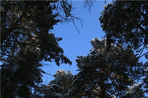Алтайские горы небо - 2
