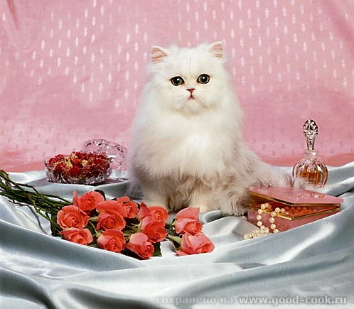 Тук-Тук