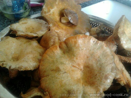 рыжики с наших лесов