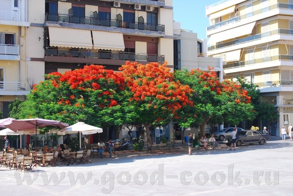  2009:   :   :   :  : - 2