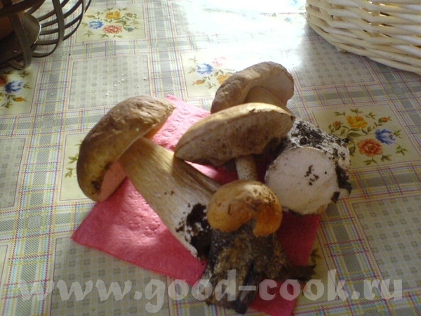 булочку слопола