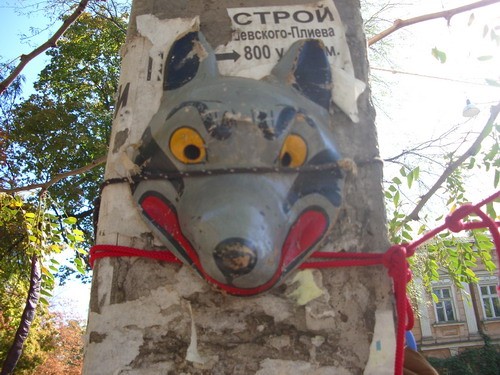 Вообще-то Староконным рынком называется место,где у нас продаются животные, собаки всевозможных пор... - 4