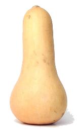 Зимние сорта : Желудевая тыква , ореховая тыква (acorn squash) - 4