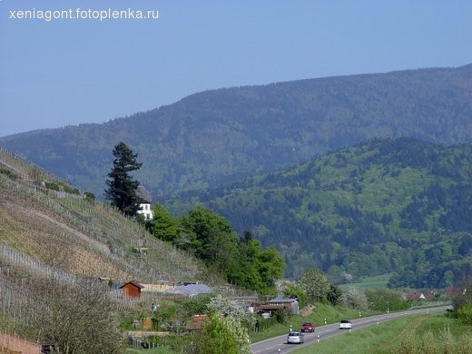 Горы я фотографировала те же, что и осенью - 3
