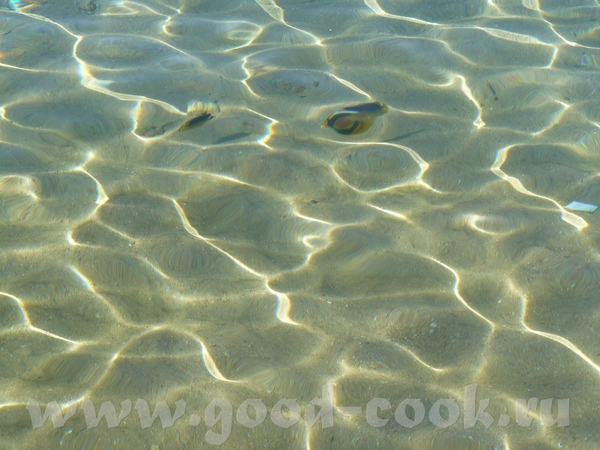       , Sharm el Sheikh - 5