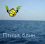 А я б от твоей баранинки не отказалась
