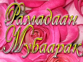 уа Алейкум Ассалам уа РахматуАллахи уа Баракатуху сестра