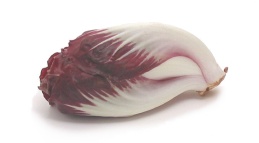 Вьющийся эндивий (curly endive) цикорий = эндивий цикория = вьющийся цикорий = фризе = фрайз Вы мож... - 3