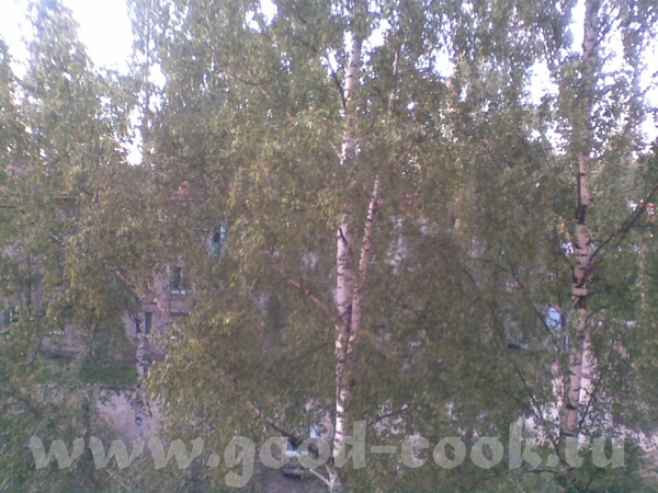 БЕЛЫЕ НОЧИ есть - 2