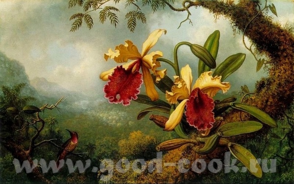 X THOMAS MORANT X MARTIN JOHNSON HEADE - 3