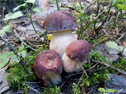 Нееее