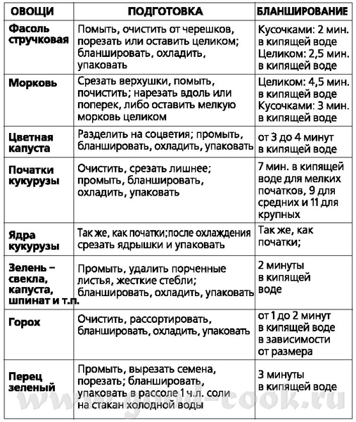 (Львица @ 7
