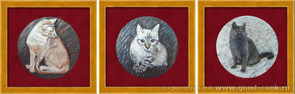 Коты