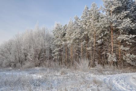 ��, �������� ����� � ��� - 3