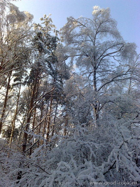 лосиный остров