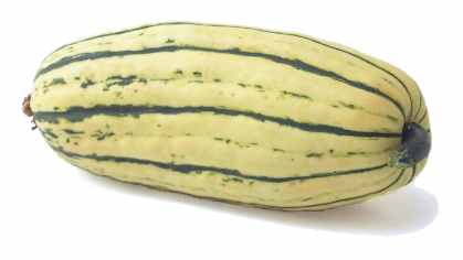 Зимние сорта : Желудевая тыква , ореховая тыква (acorn squash) - 5
