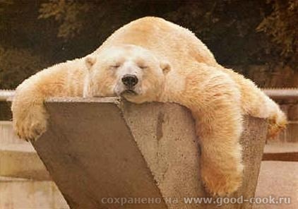 медведь