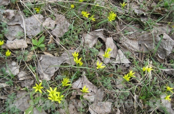 ,   () -    ,       ...