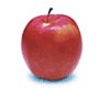 а вот самые популярные "заморские" яблочки РЕД ДЕЛИШЕС (RED DELICIOUS) Это один из классических сор... - 8