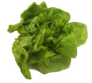   =  =  =  =  = - =   = roquette... - 3