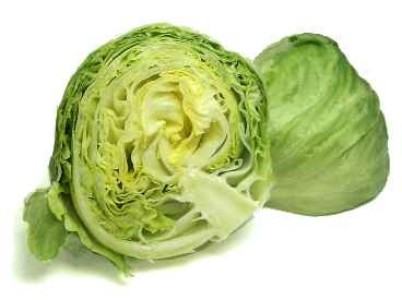 Эскарол (escarole) эндивий Батавиан = Батавия = скарол Крепкие, упругие листья и немного горький ар... - 3