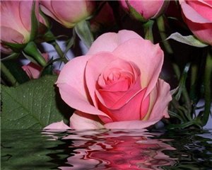 Oluscha Да я ето помнь,но у меня неполучается ето сделат,так как незнаь как