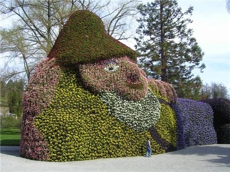 Островок MAINAU , расположен на (оз Боден), рядом с - остров маленький, всего 45 га
