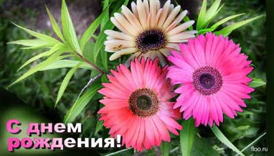 Anja, natalya, Annie, AnnaB, Нутя, koshkis, Викинг, smeera С Днем Рождения