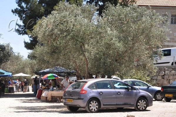На просторной поляне,слева от монастыря, среди оливковых деревьев, расположились продавцы сувениров...