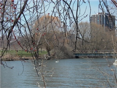 парк - 4
