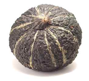 Зимние сорта : Желудевая тыква , ореховая тыква (acorn squash) - 7