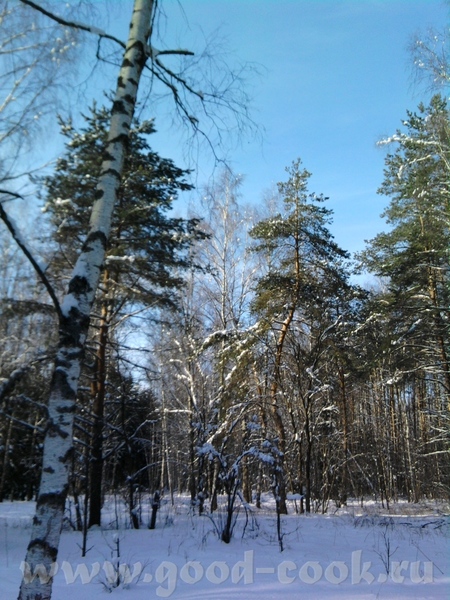 Зайцы там бегают толпами, кругом их следы - 3