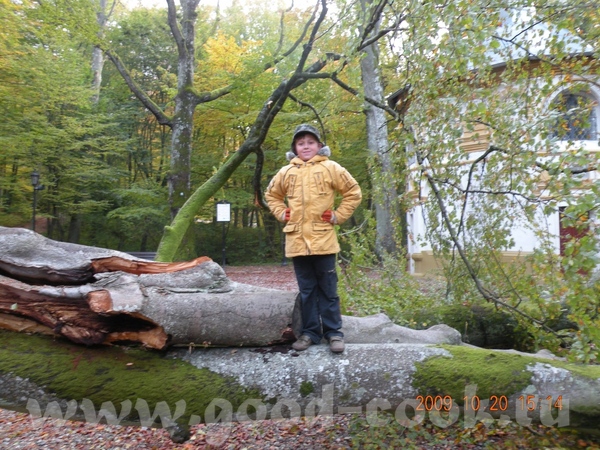 Девочки фотки замечательные - 2