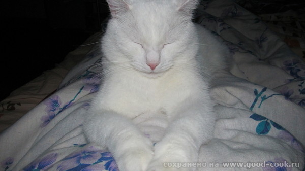 ,                       - 3