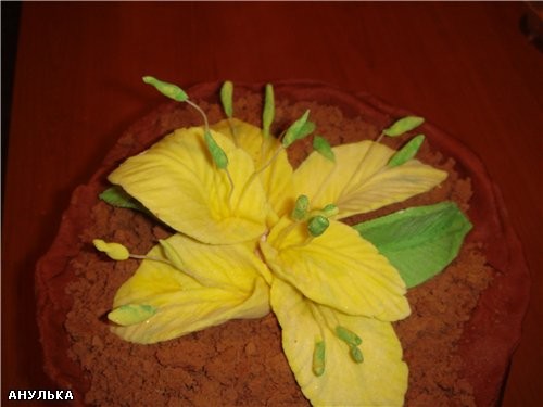    (   ,      )   ,   ... - 2