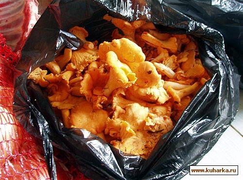 "ЖАРЕНЫЕ ЛИСИЧКИ С МАСЛОМ"