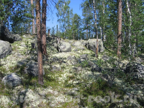 Таня, мы были у вас