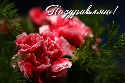 Вика, поздравляю тебя с днем рождения