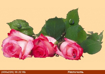Нелличка, С днём рождения