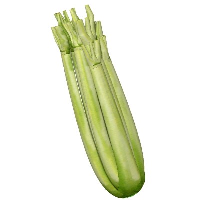 celery