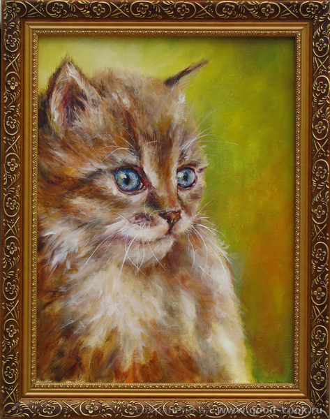 котик
